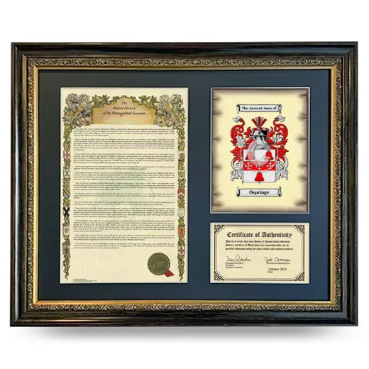 Ospringe Framed Surname History and Coat of Arms- Heirloom