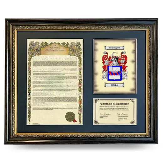 Ostrich Framed Surname History and Coat of Arms- Heirloom