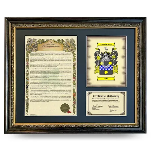 Pitt Framed Surname History and Coat of Arms- Heirloom