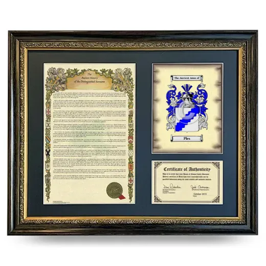 Ples Framed Surname History and Coat of Arms- Heirloom