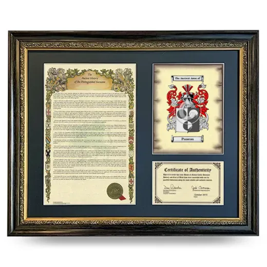 Puncon Framed Surname History and Coat of Arms- Heirloom
