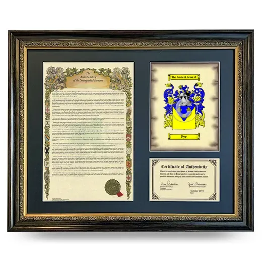 Pye Framed Surname History and Coat of Arms- Heirloom