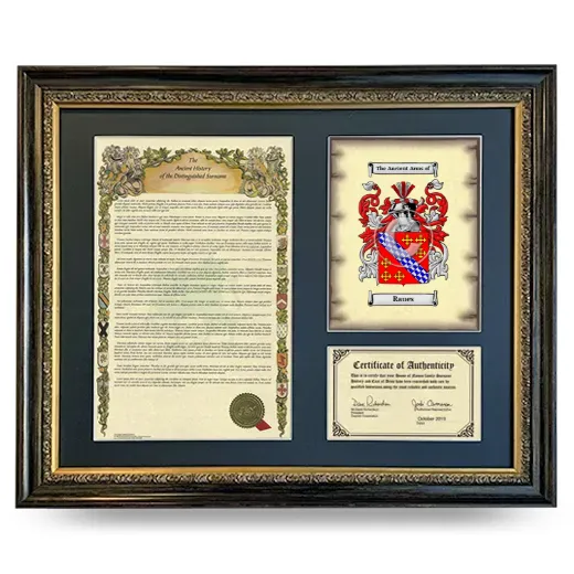 Raues Framed Surname History and Coat of Arms- Heirloom