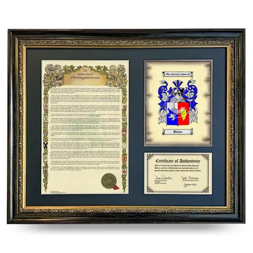 Reine Framed Surname History and Coat of Arms- Heirloom