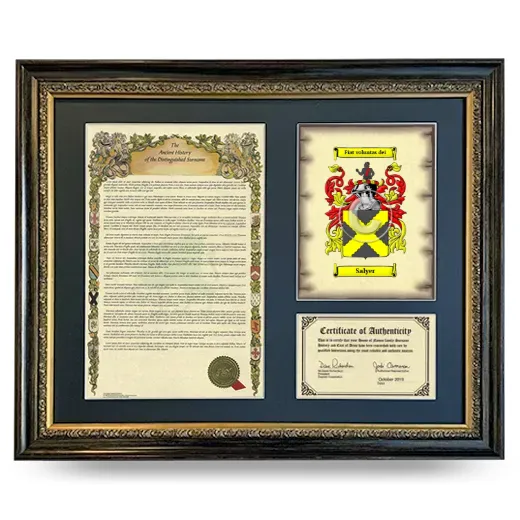 Salyer Framed Surname History and Coat of Arms- Heirloom
