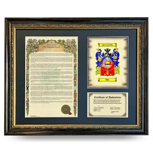 Siry Framed Surname History and Coat of Arms- Heirloom