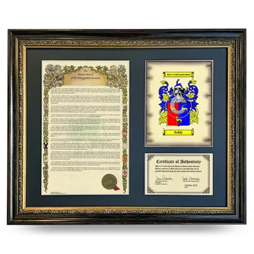 Sokly Framed Surname History and Coat of Arms- Heirloom