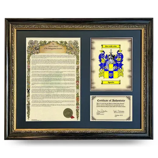 Sporin Framed Surname History and Coat of Arms- Heirloom