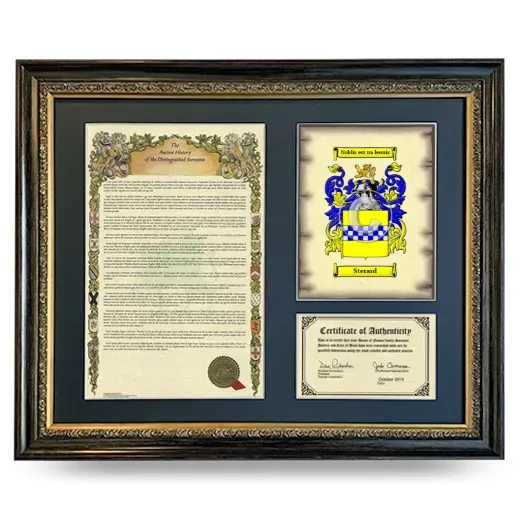 Sterard Framed Surname History and Coat of Arms- Heirloom