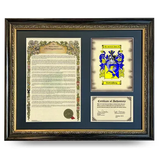 Stettenberg Framed Surname History and Coat of Arms- Heirloom
