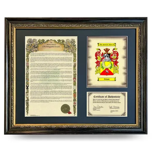 Stiner Framed Surname History and Coat of Arms- Heirloom