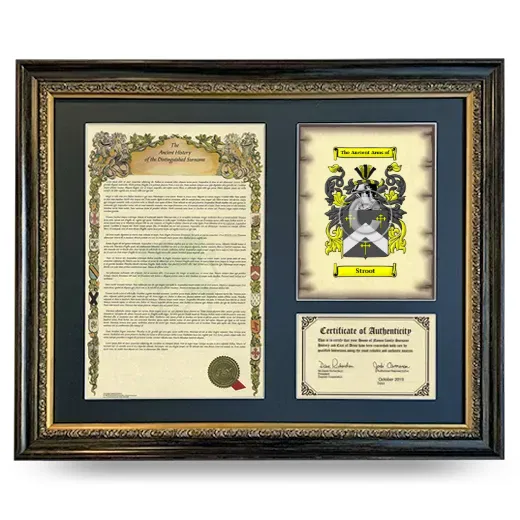 Stroot Framed Surname History and Coat of Arms- Heirloom