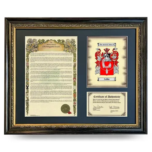 Subbe Framed Surname History and Coat of Arms- Heirloom