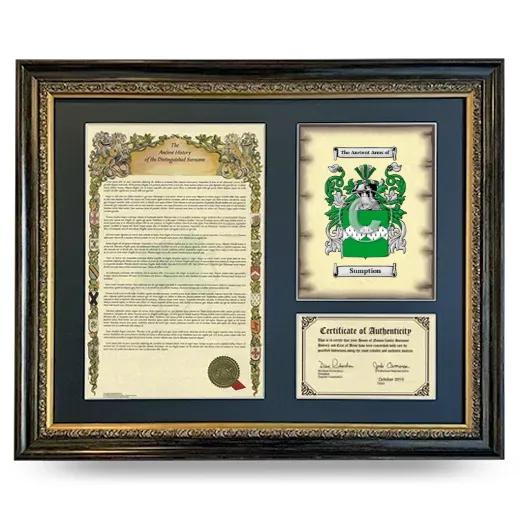 Sumption Framed Surname History and Coat of Arms- Heirloom