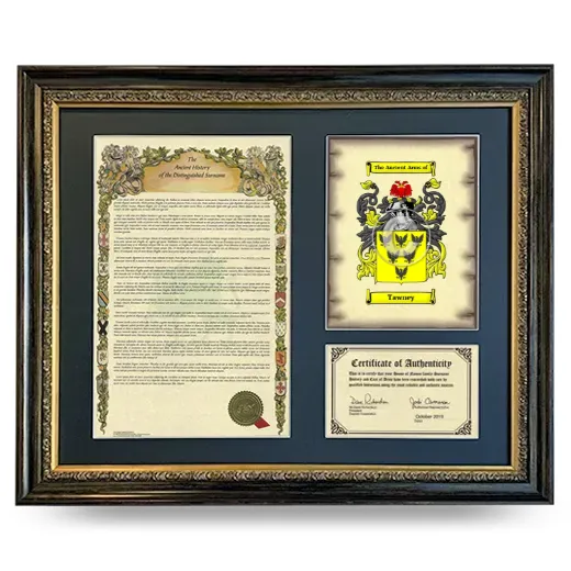 Tawney Framed Surname History and Coat of Arms- Heirloom