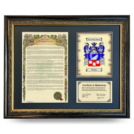 Teems Framed Surname History and Coat of Arms- Heirloom