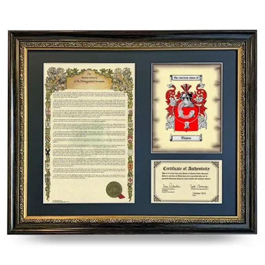 Thyen Framed Surname History and Coat of Arms- Heirloom