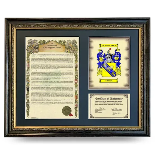 Tillison Framed Surname History and Coat of Arms- Heirloom