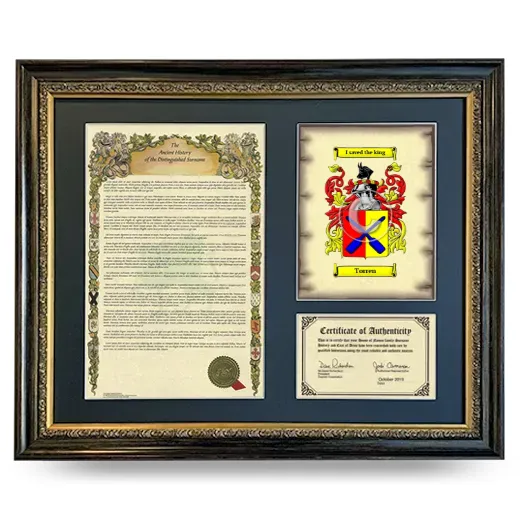 Torren Framed Surname History and Coat of Arms- Heirloom