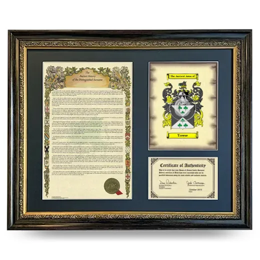 Treese Framed Surname History and Coat of Arms- Heirloom