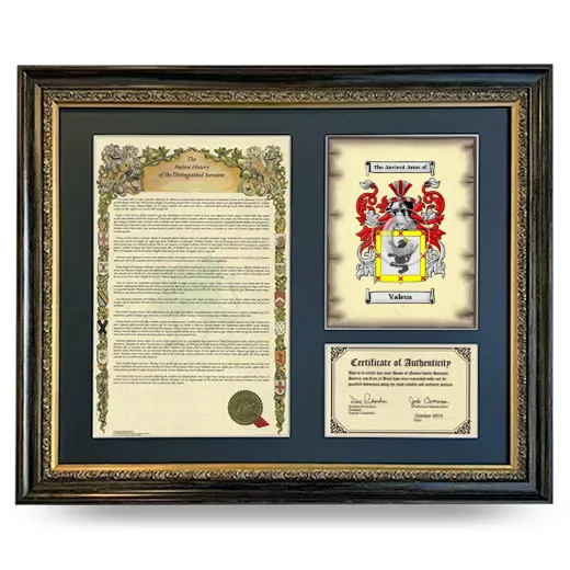 Valens Framed Surname History and Coat of Arms- Heirloom