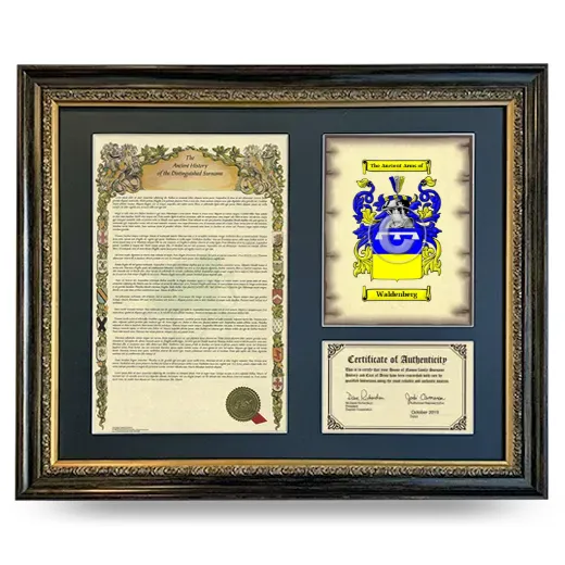 Waldenberg Framed Surname History and Coat of Arms- Heirloom