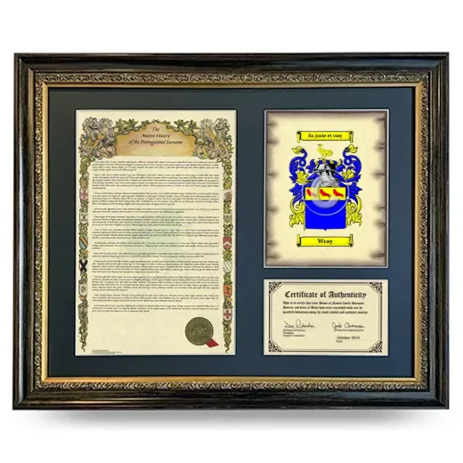 Wray Framed Surname History and Coat of Arms- Heirloom