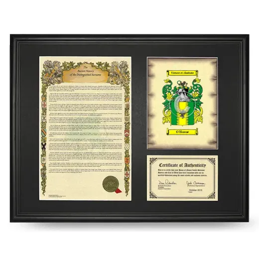 O'Horoe Framed Surname History and Coat of Arms - Black