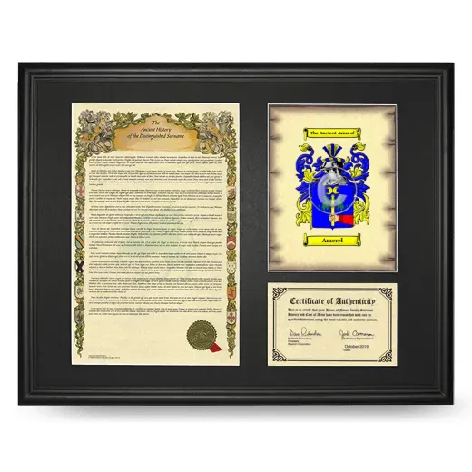 Amerel Framed Surname History and Coat of Arms - Black