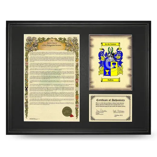 Baltin Framed Surname History and Coat of Arms - Black