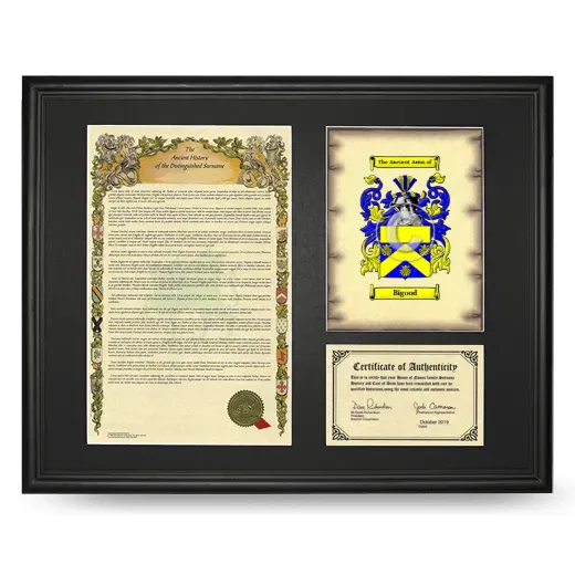 Bigood Framed Surname History and Coat of Arms - Black