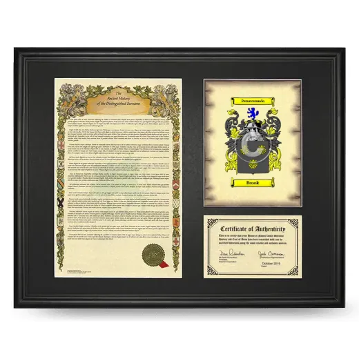 Brook Framed Surname History and Coat of Arms - Black