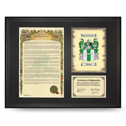 Dasone Framed Surname History and Coat of Arms - Black