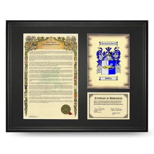 Dolfino Framed Surname History and Coat of Arms - Black