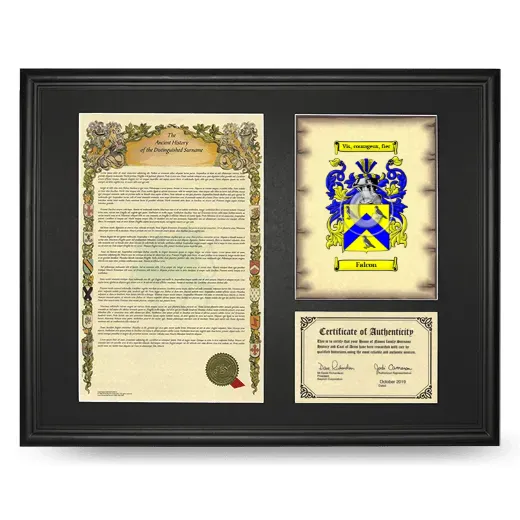 Falcon Framed Surname History and Coat of Arms - Black