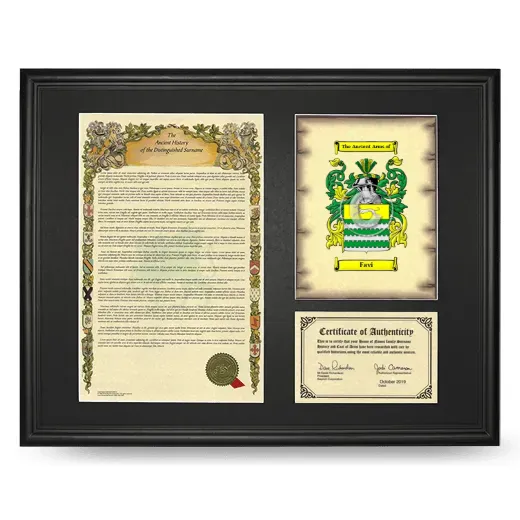 Favi Framed Surname History and Coat of Arms - Black
