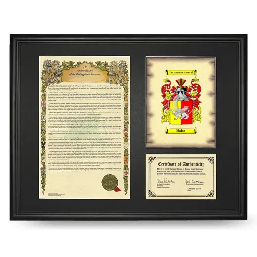 Halas Framed Surname History and Coat of Arms - Black