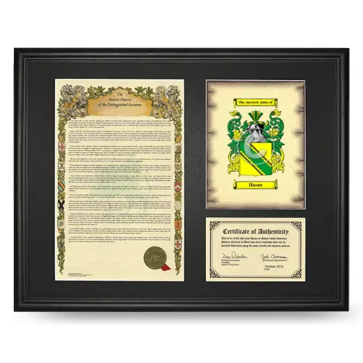Haner Framed Surname History and Coat of Arms - Black