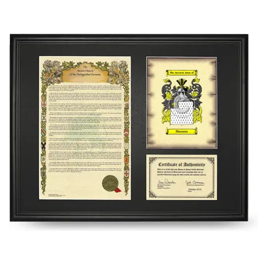 Hanson Framed Surname History and Coat of Arms - Black