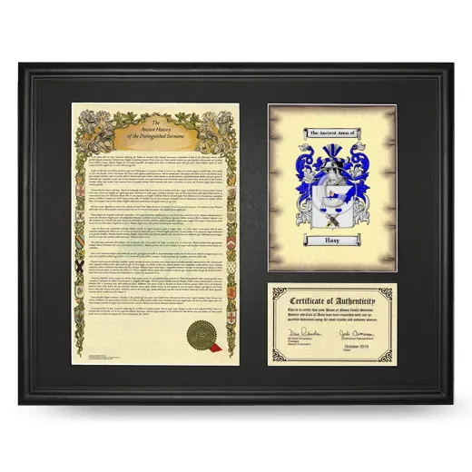 Hasy Framed Surname History and Coat of Arms - Black