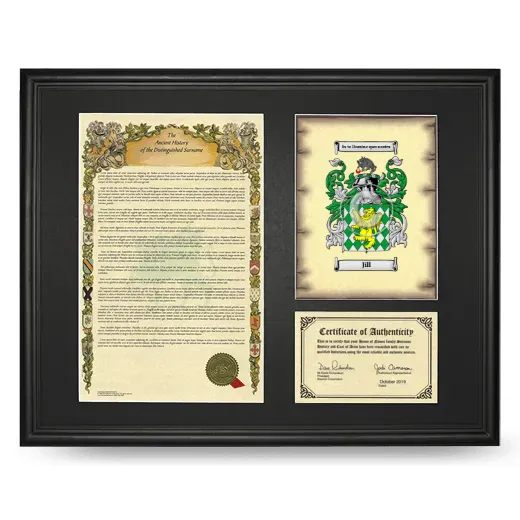 Jill Framed Surname History and Coat of Arms - Black