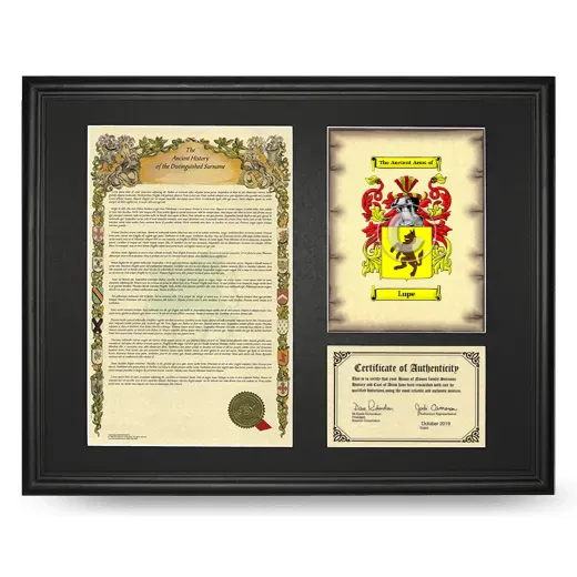 Lupe Framed Surname History and Coat of Arms - Black