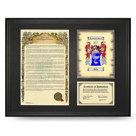 Malis Framed Surname History and Coat of Arms - Black