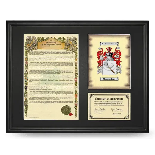 Morgenstern Framed Surname History and Coat of Arms - Black