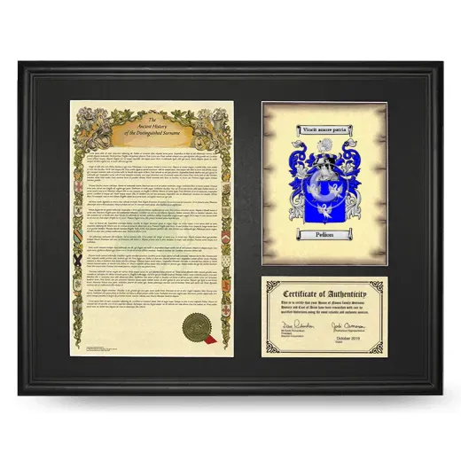 Pelion Framed Surname History and Coat of Arms - Black