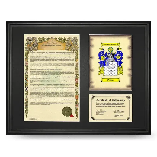 Pellew Framed Surname History and Coat of Arms - Black
