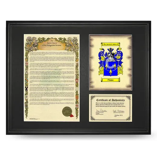 Plume Framed Surname History and Coat of Arms - Black
