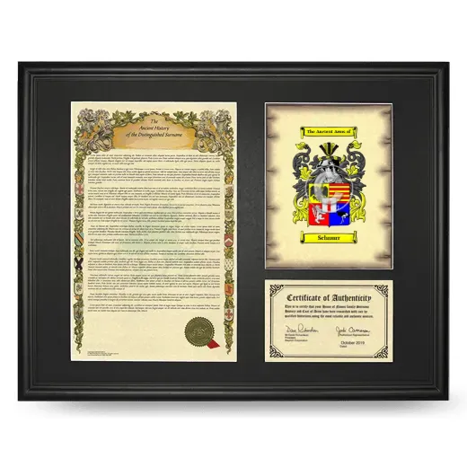 Schnurr Framed Surname History and Coat of Arms - Black