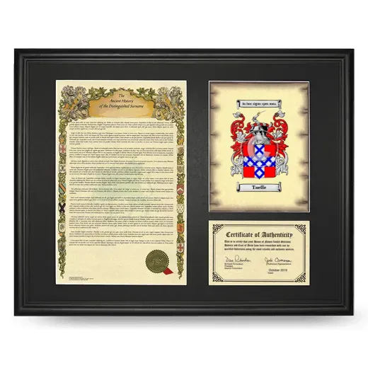 Taeffe Framed Surname History and Coat of Arms - Black