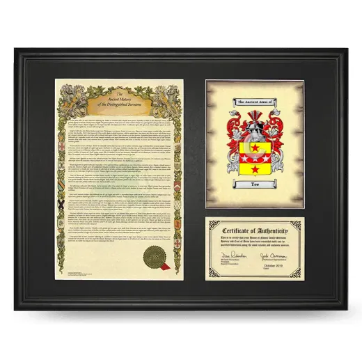 Tee Framed Surname History and Coat of Arms - Black